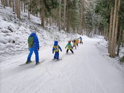 wald_schneezwerge